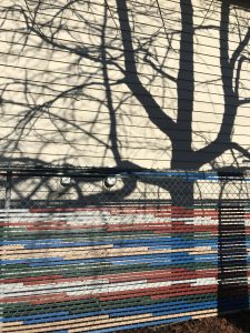 tree shadows, siding, colored fencing